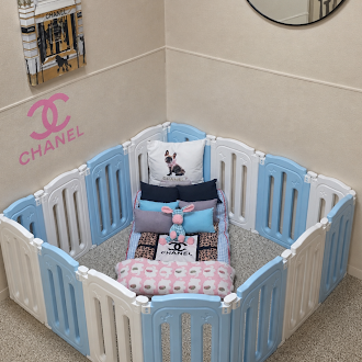 Designer dog boarding suite at 4 Paws