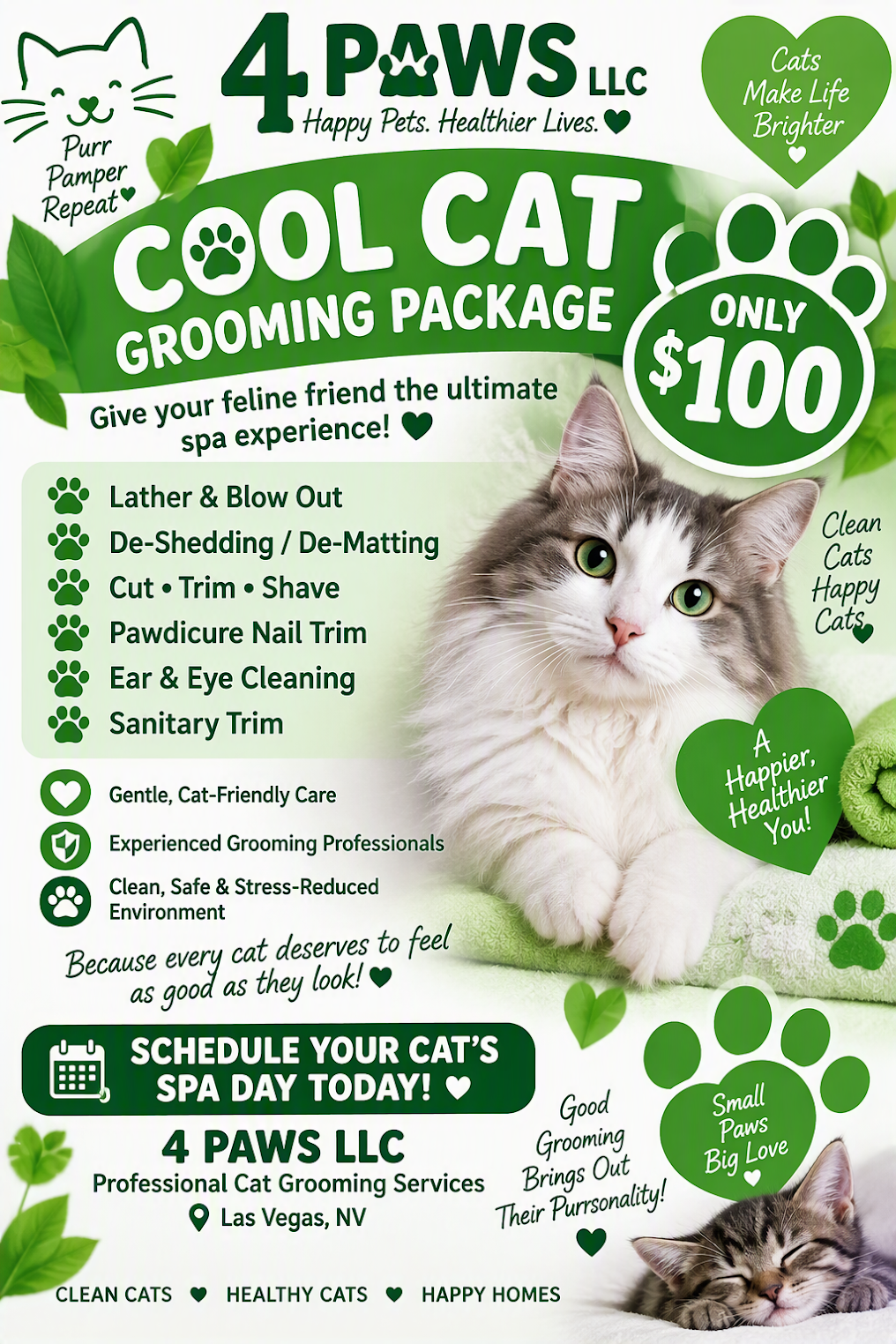 Cool Cat Grooming Package promotional graphic